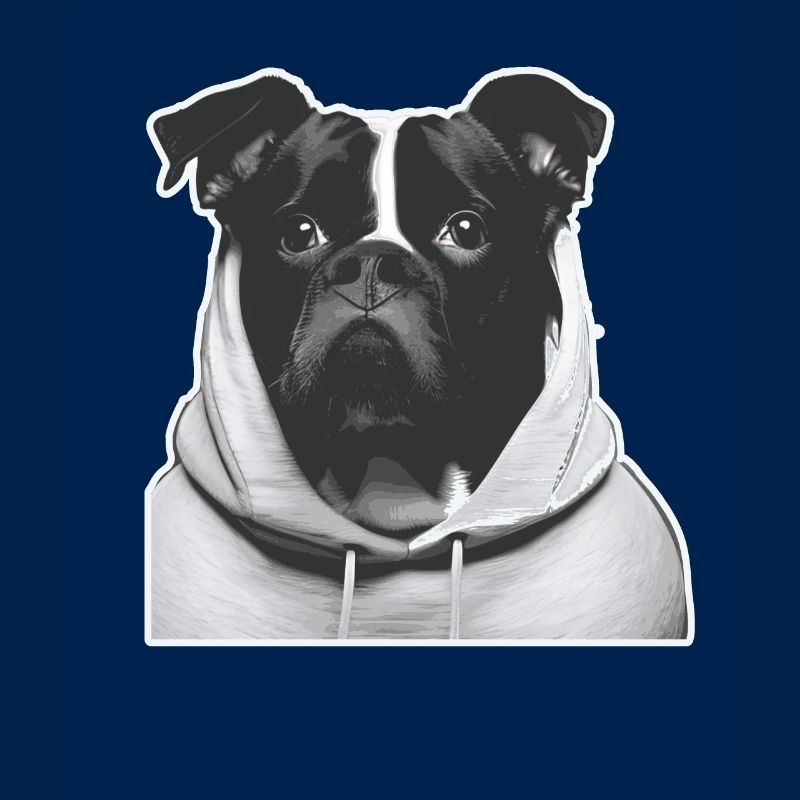Chien avec sweat à capuche