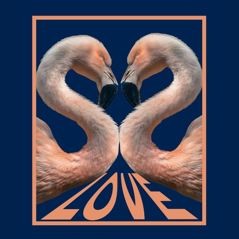 Flamingo-Liebe