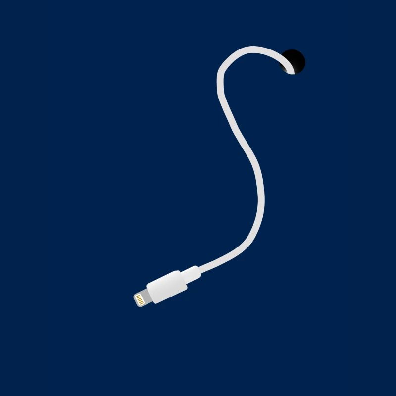 iPhone câble