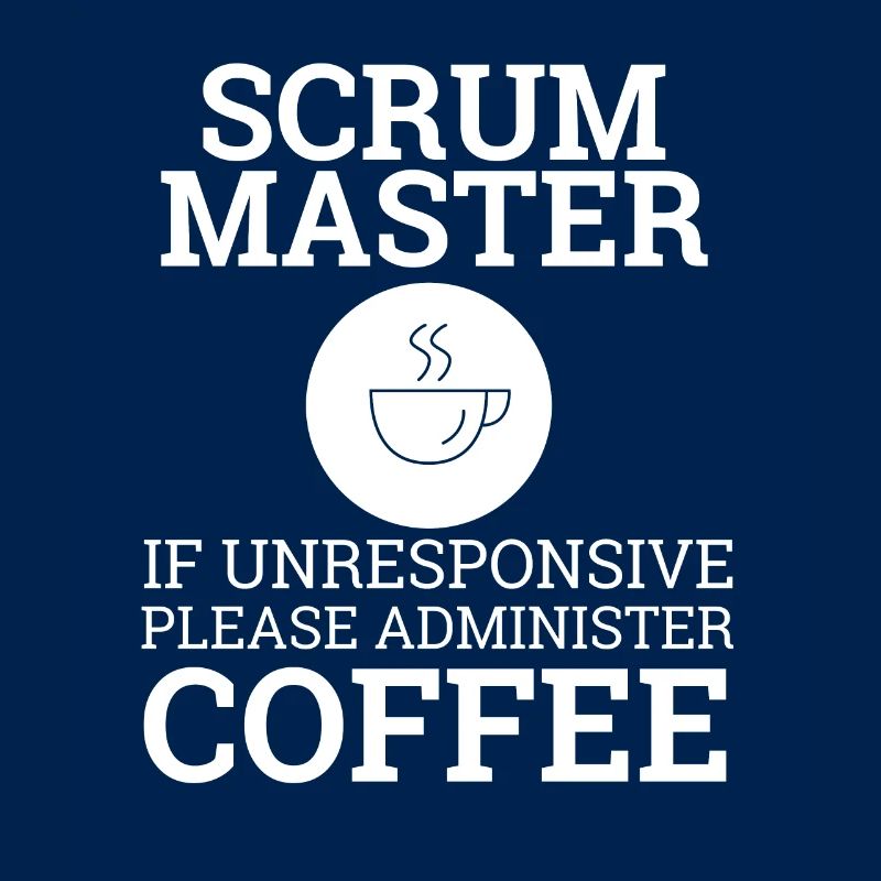 « Scrum Master » | Scrum Master