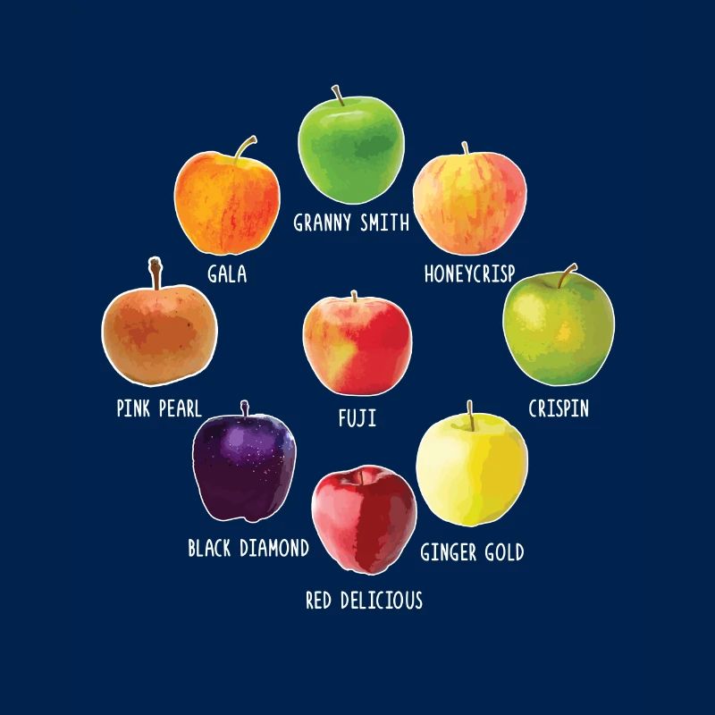 Apple Varieties Different Apples Realistic Apple