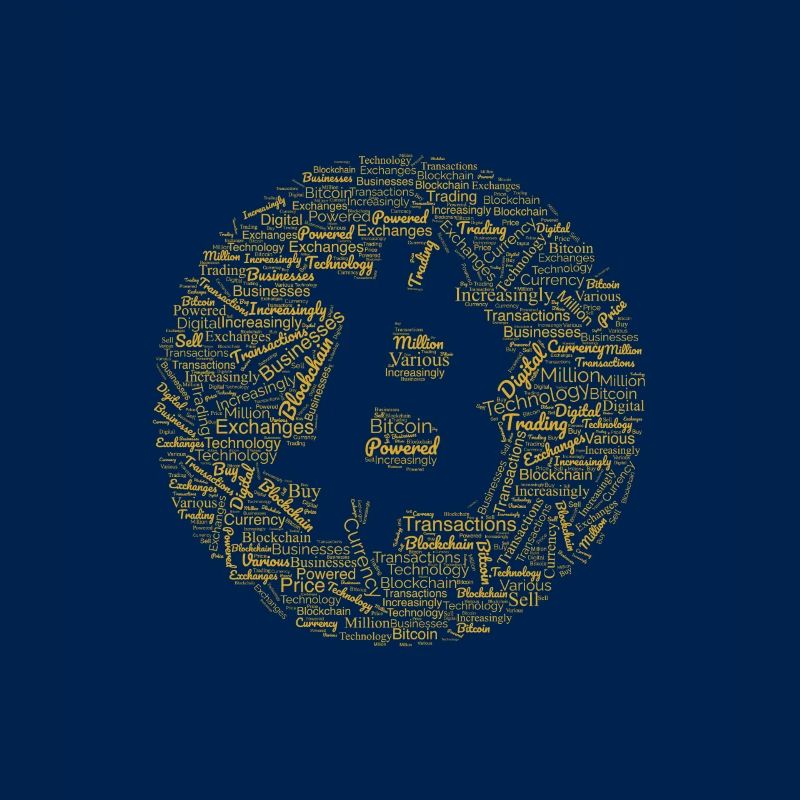Bitcoin Graphic Tee with Words Pattern design.
