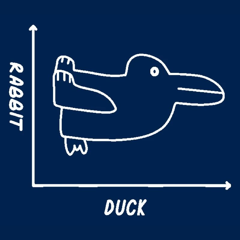 Duck Rabbit Graph Shirt - Fun Math Teacher Easter