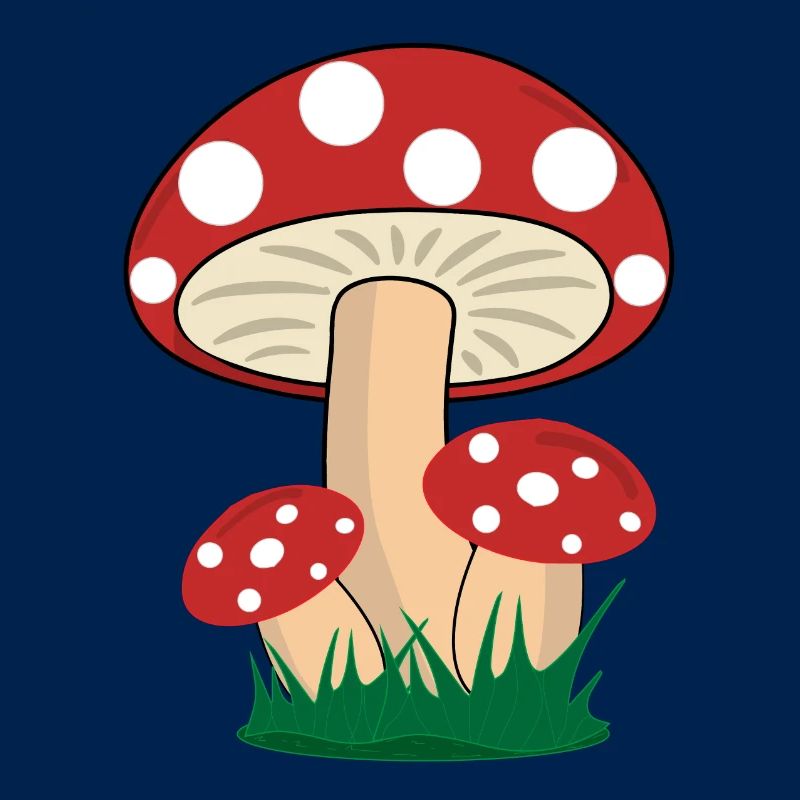 Mushrooms toadstools boletus forest mushroom picking