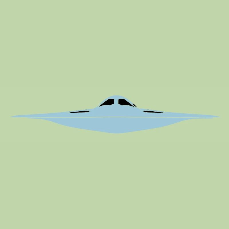 B-21 Raider