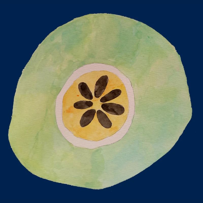 Fruit géant 1