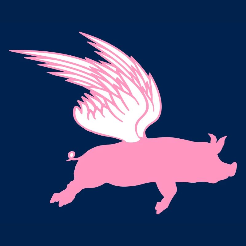 When Flying Wings Flying Pigs Can Fly