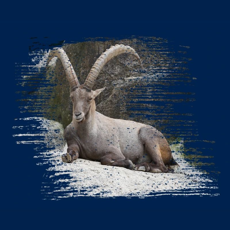 Steinbock als Sternzeichen und Wappentier