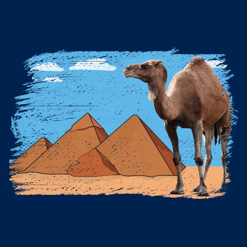 Kamel vor Pyramiden