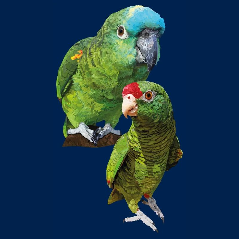 Perroquets amazoniens