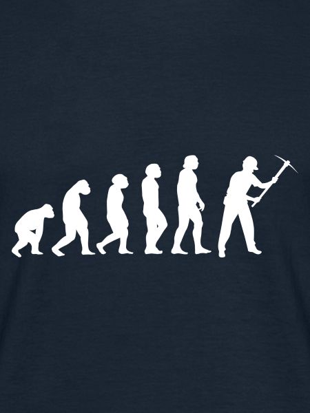 Evolution Bergmann