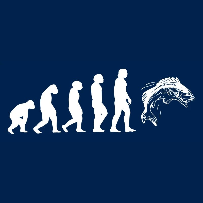 Evolution Forellen Angler