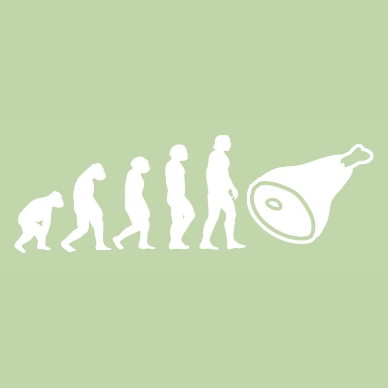 Evolution Fleischer