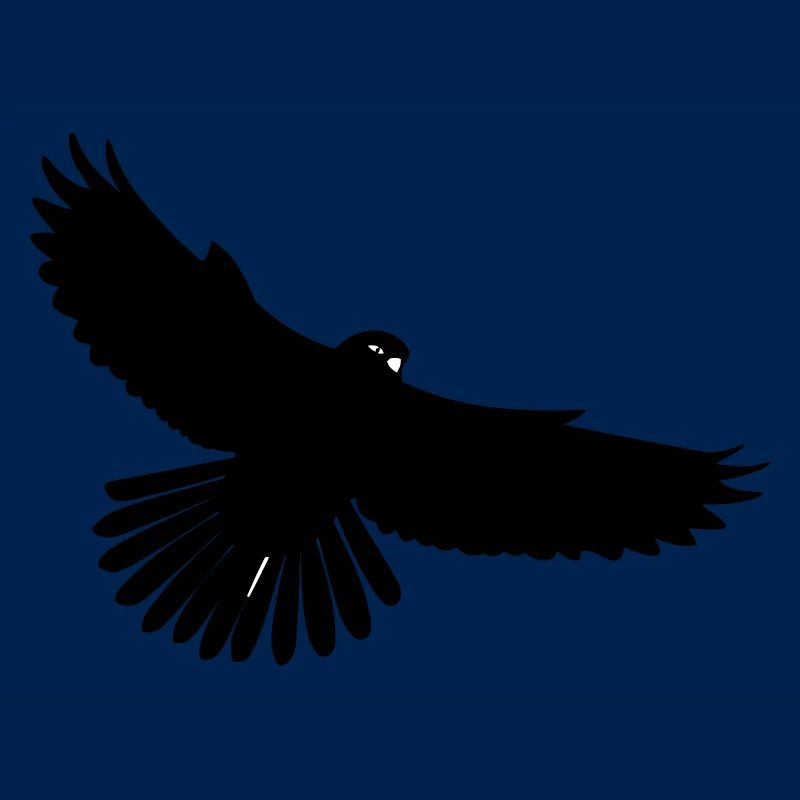 oiseau noir