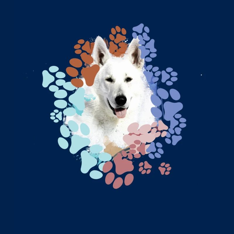 White Shepherd, German Shepherd, Paws, Print