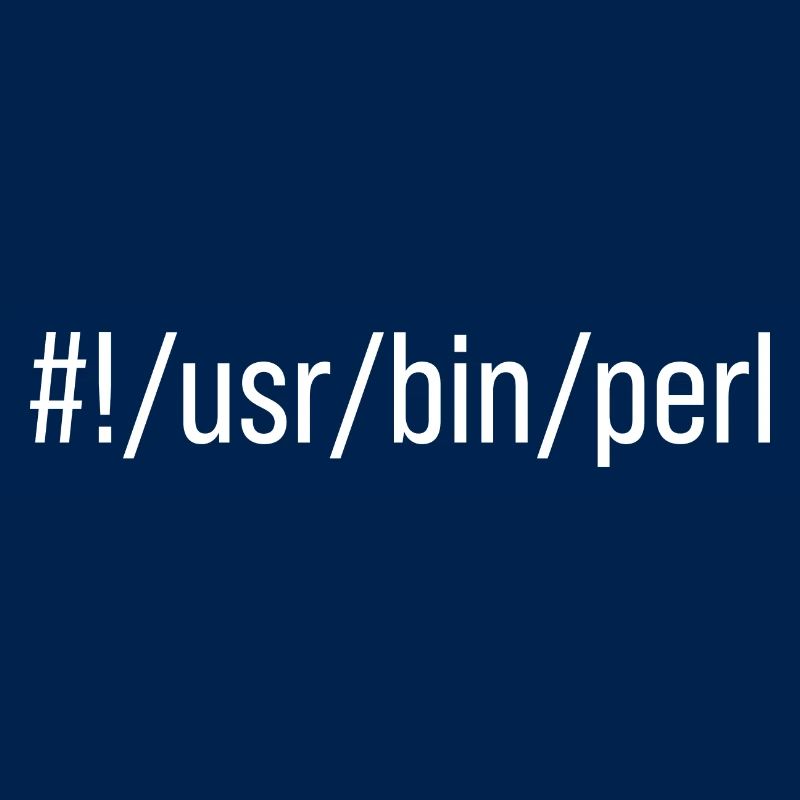 Usr Bin Perl Programmer Programing Languager Meme