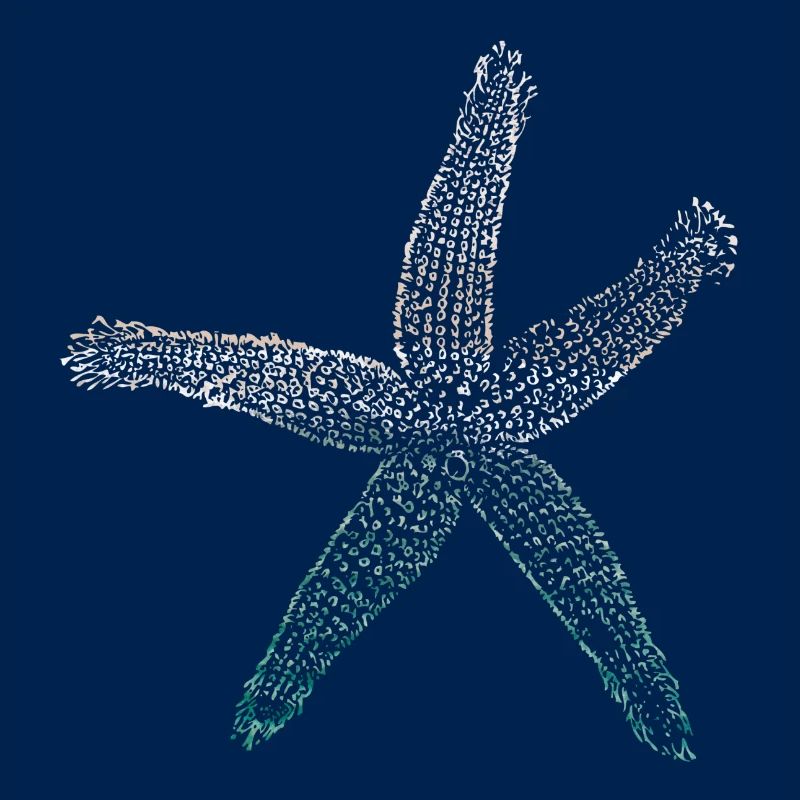 étoile de mer