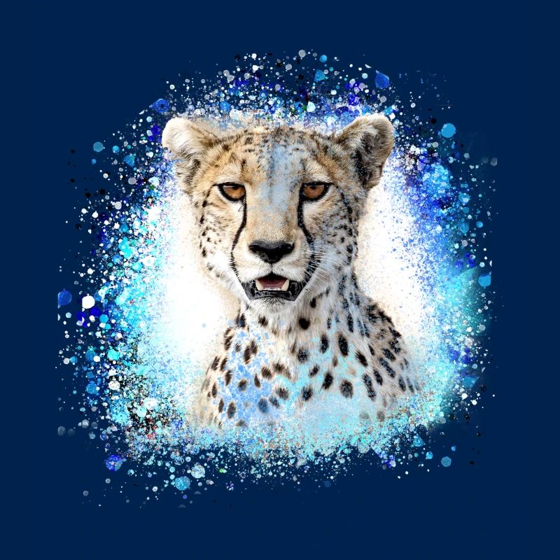 leopard, cat, wildcat, graffiti, painting,blue