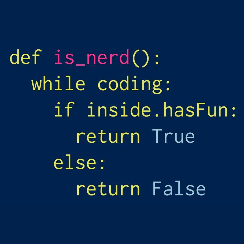 Python Definition von Nerd
