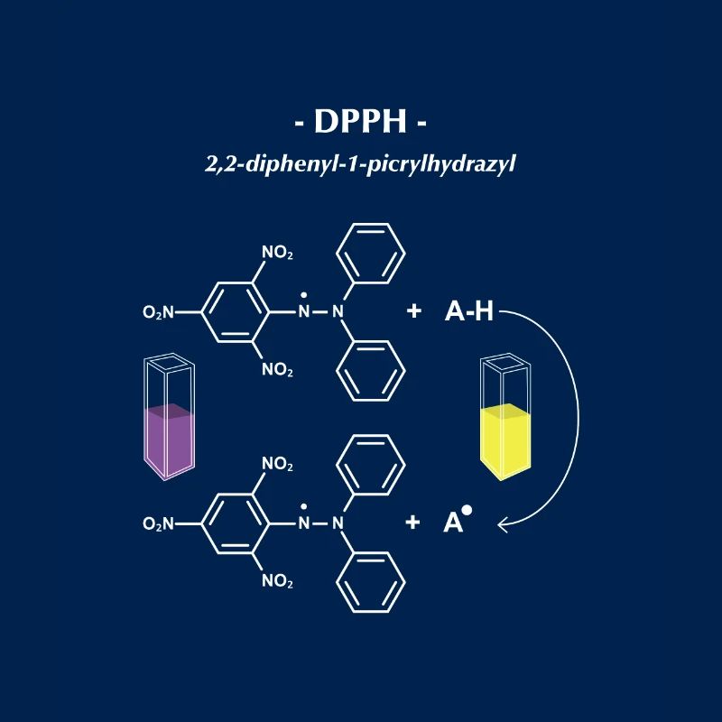 DPPH 2 2 Diphenyl 1 picrylhydrazyl
