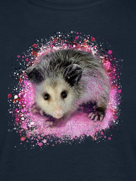 opossum,maus,nagetier,graffiti