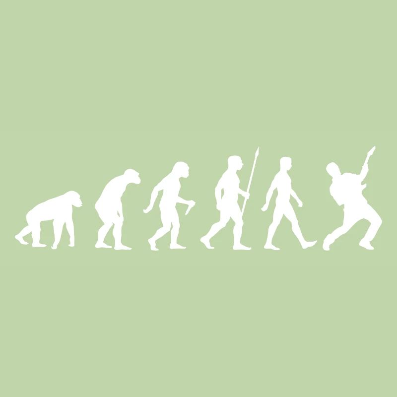 Evolution Gitarre Gitarrist E-Gitarre