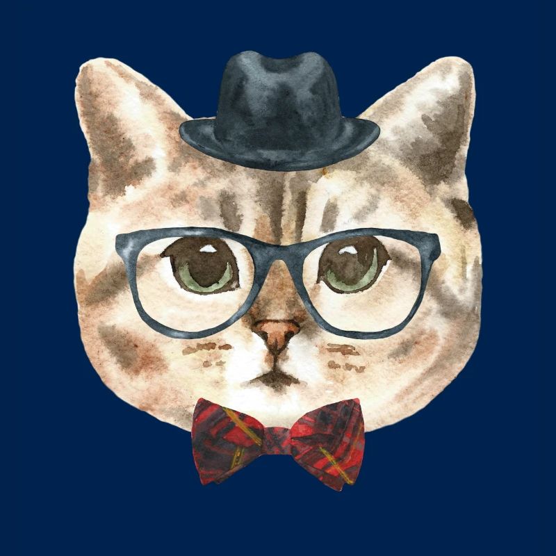 Nerd Katze