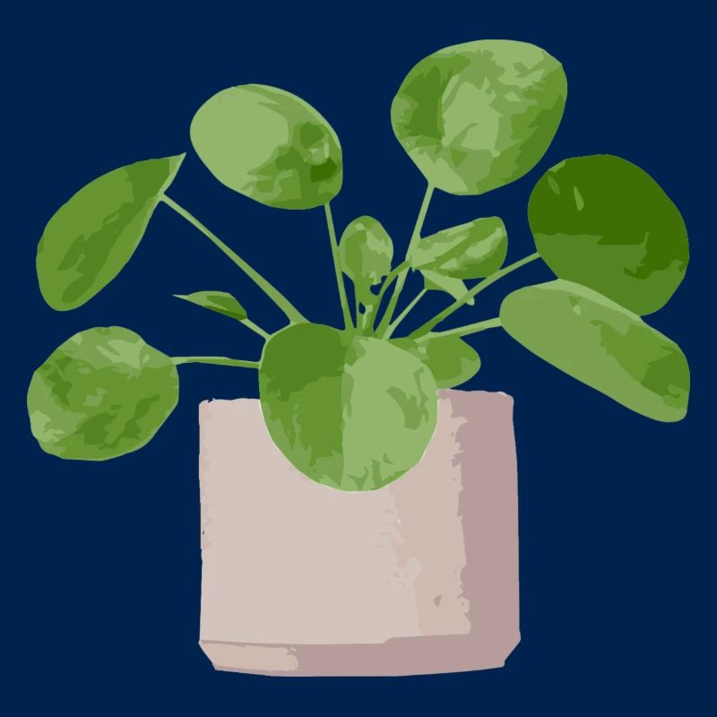 Pilea