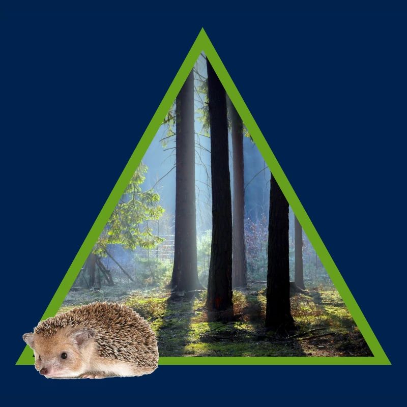 forêt 52 avec hérisson