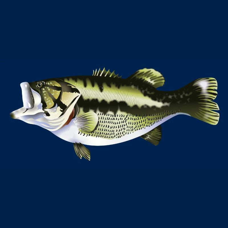fishing predatory fish pikeperch perch pike
