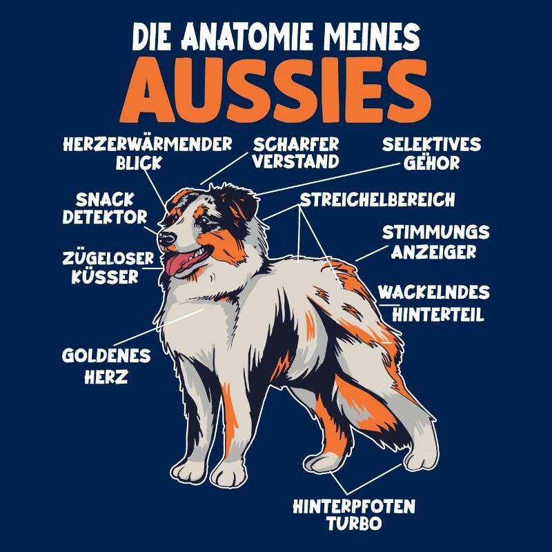 Australian Shepherd Aussie Anatomie Aussie