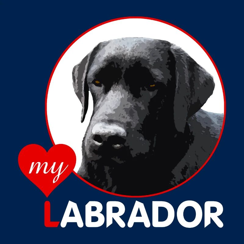 j’adore mon labrador