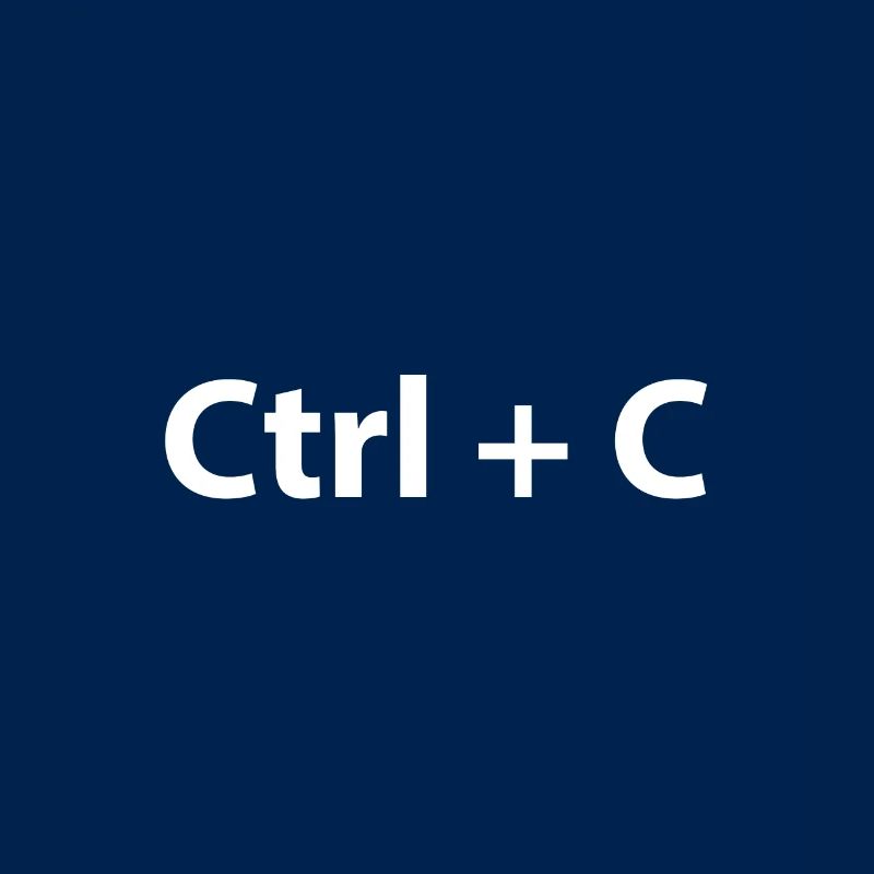 Ctrl Ctrl V Copy Paste Twins