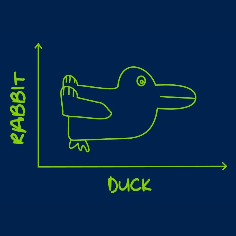 Duck'n Rabbit