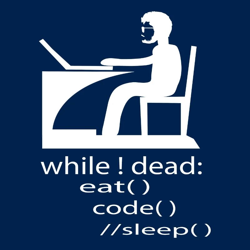 Software Developer Programmer Gift