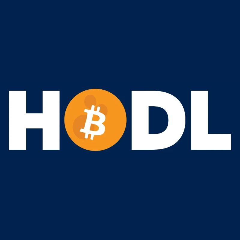 Bitcoin Plan B BTC Satoshi Crypto Hodl Maximaliste