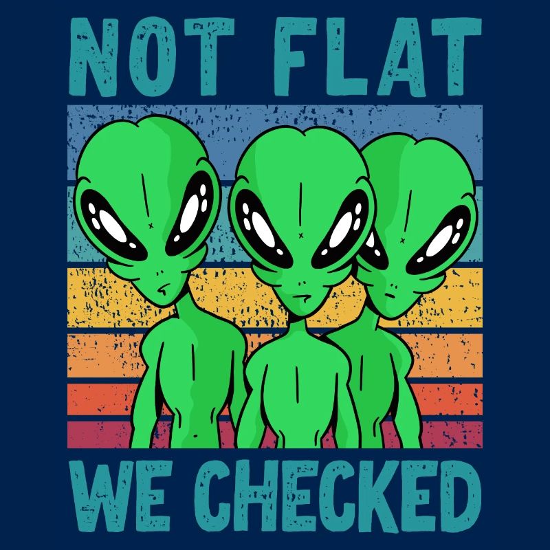 Not Flat We Checked