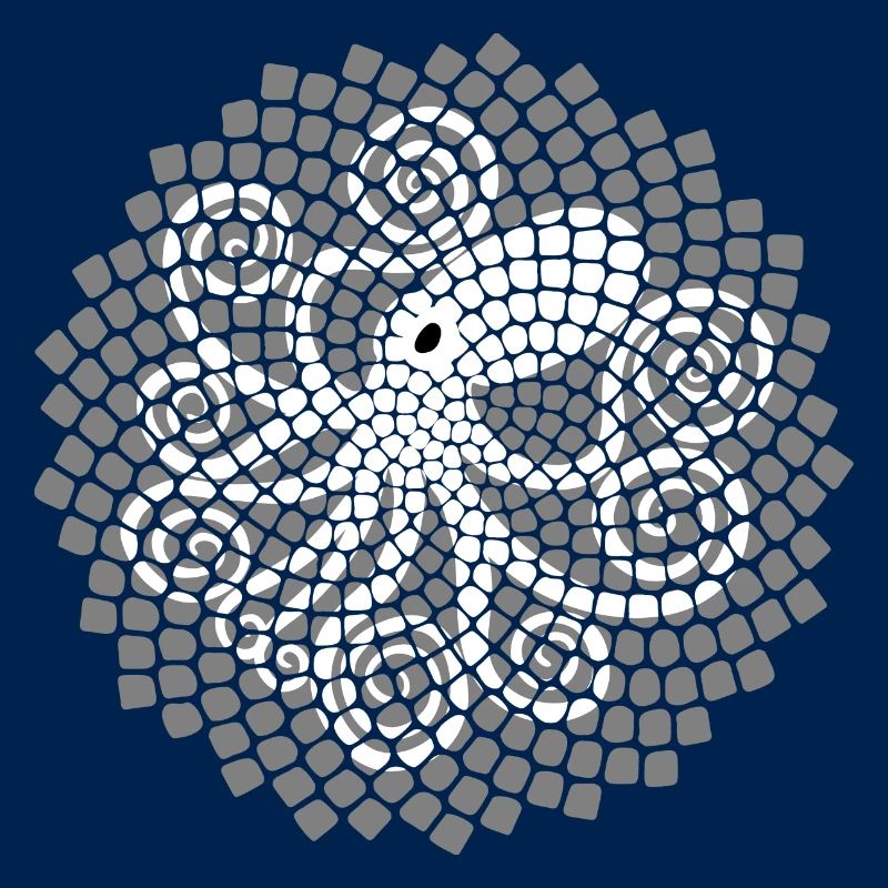 Fibonacci Squid