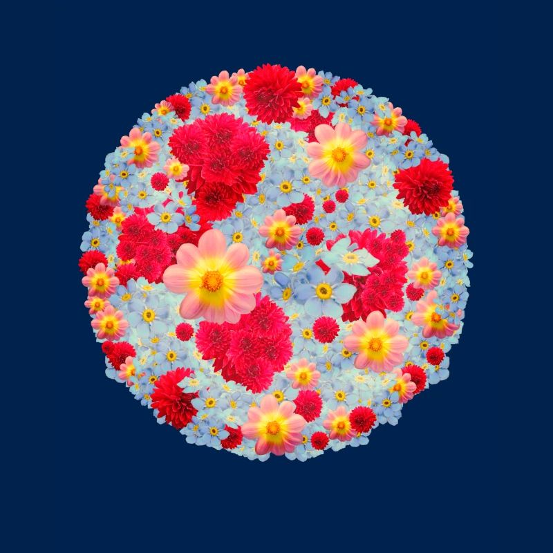 Les bouquets de fleurs
