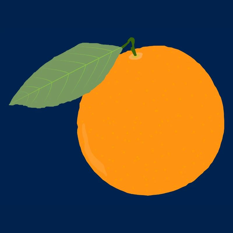 Orange fruit fruit gift gift idea