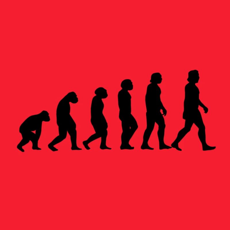 Evolution Affe zum Menschen