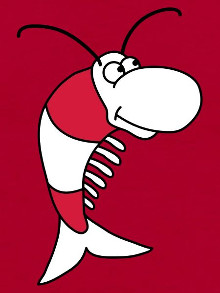 Shrimp