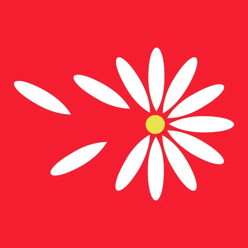 Gänseblümchen-Orakel / daisy oracle (2c)