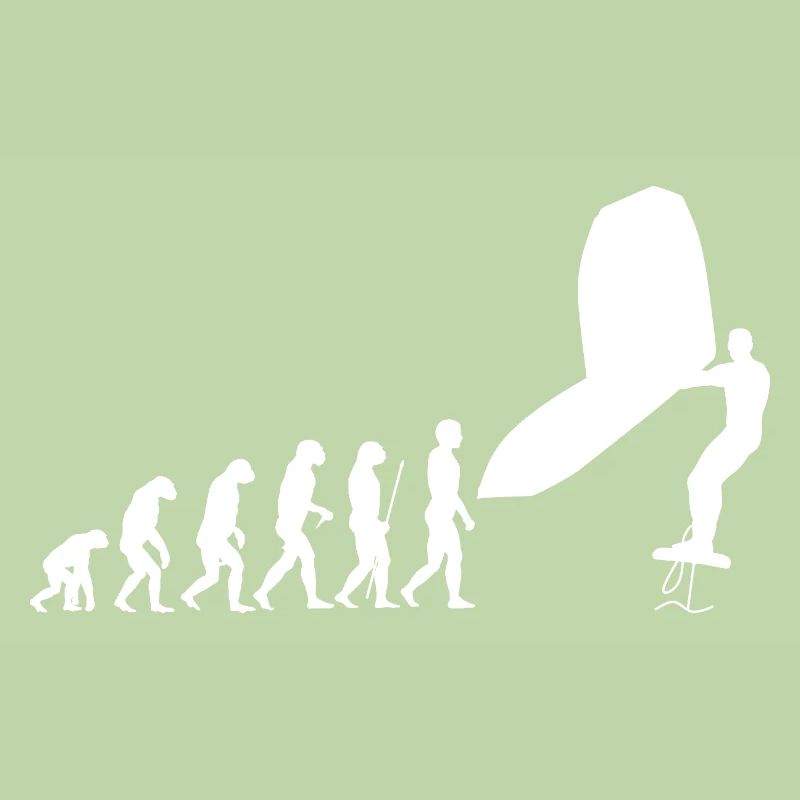 Wingsurf Evolution