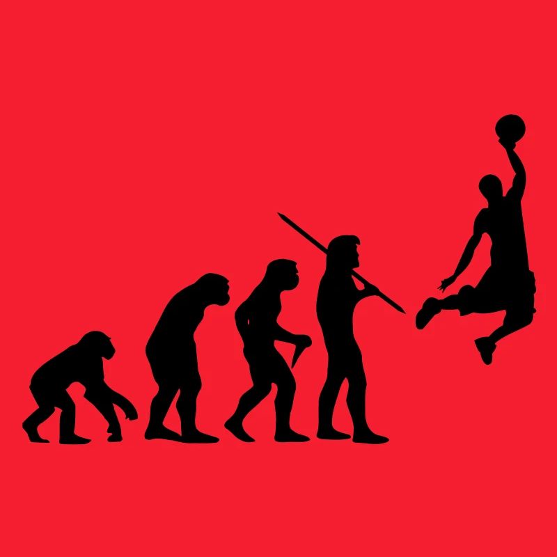 Evolution de basket-ball