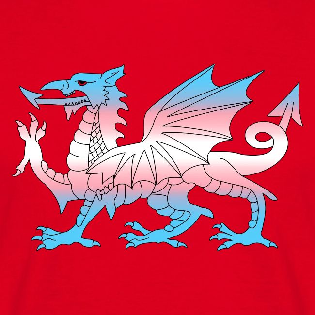 Wales Trans Flag, Baner Trans Cymru, Transgender