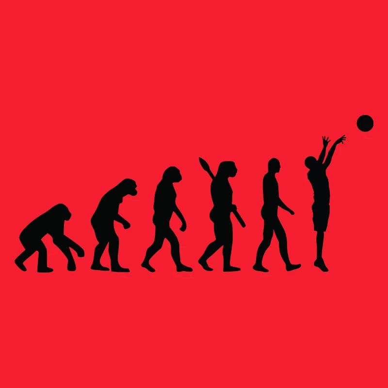 Evolution basket b