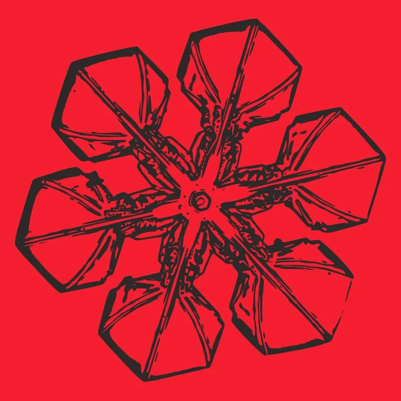 snowflake 2 black