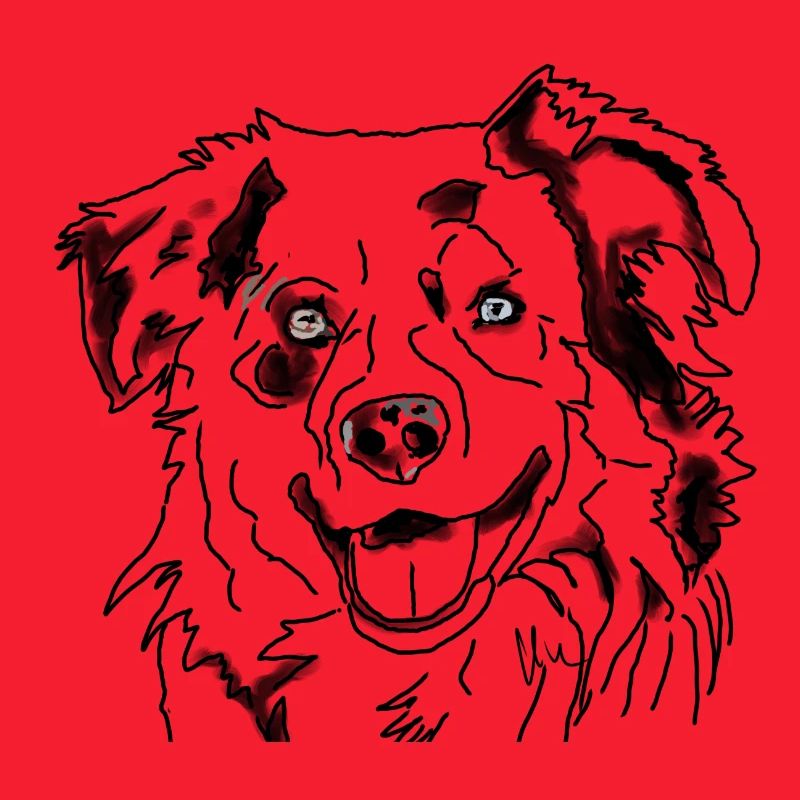 Australian Shepherd