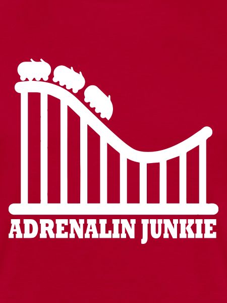 Rollercoaster Achterbahn Freizeitpark